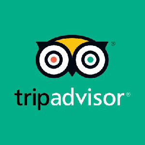 Trip Advisor logo
